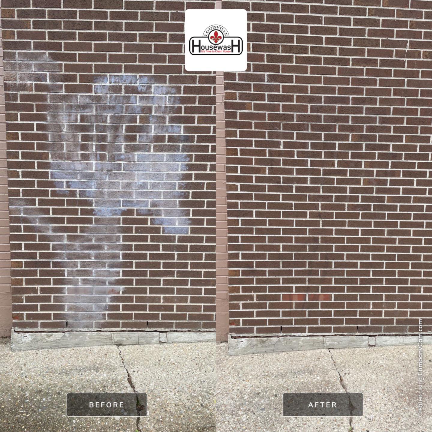 Brick wall efflorescence and stains removed